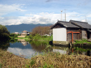 (5)泉（幸木泉　通称：鴨地池）周布（東予地区）の写真