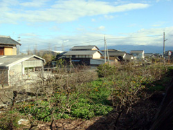 河原津新田の写真