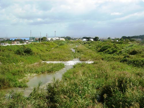 大宮堰より下流を望む