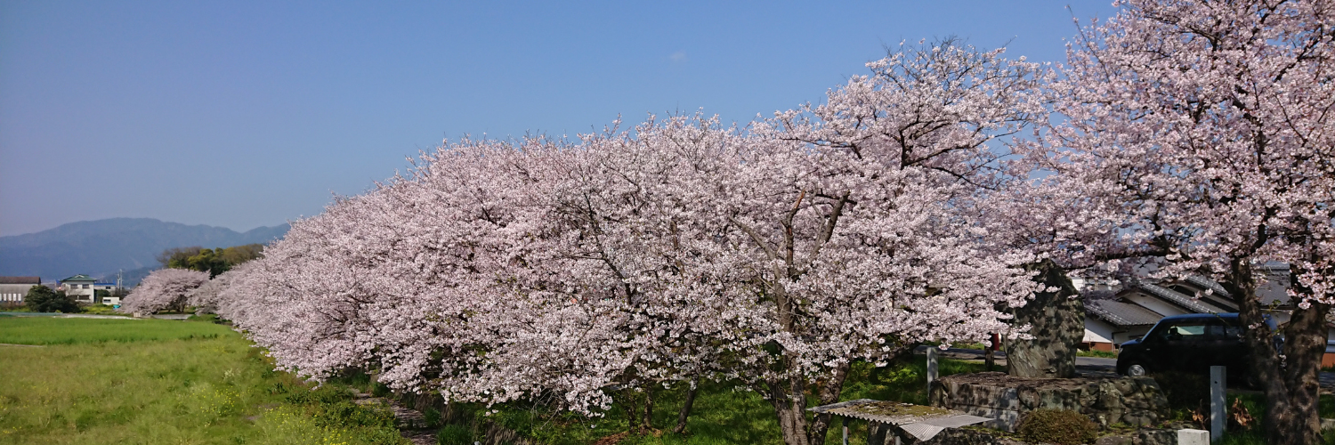 吉田川原