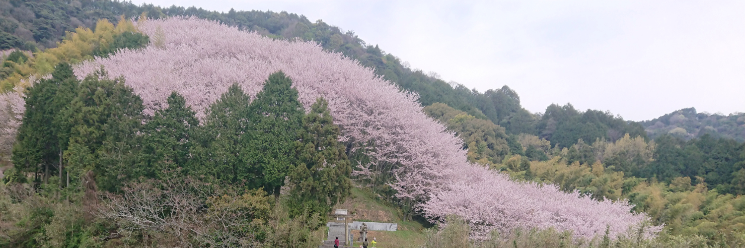 くまのこうえん