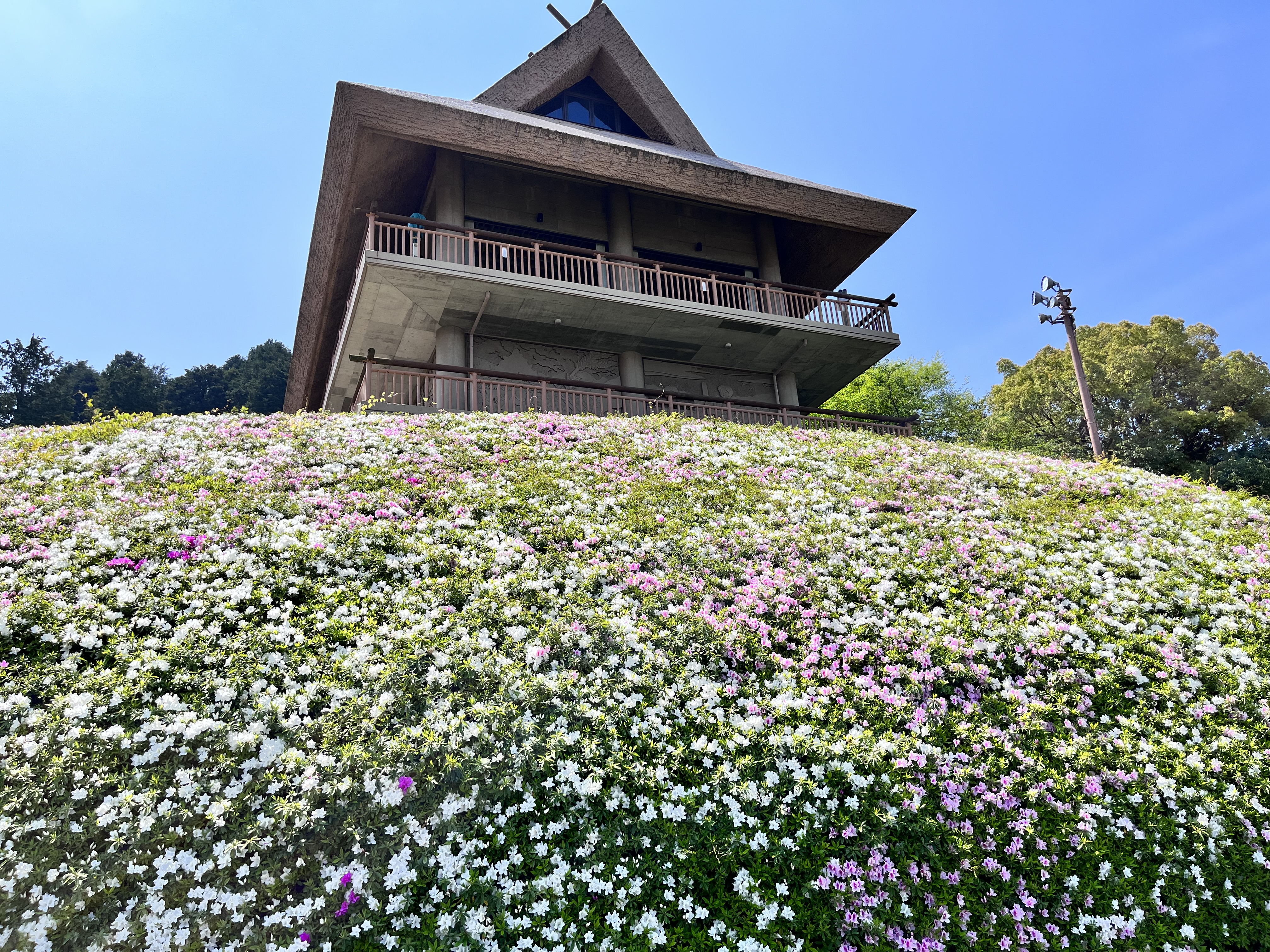 市民の森