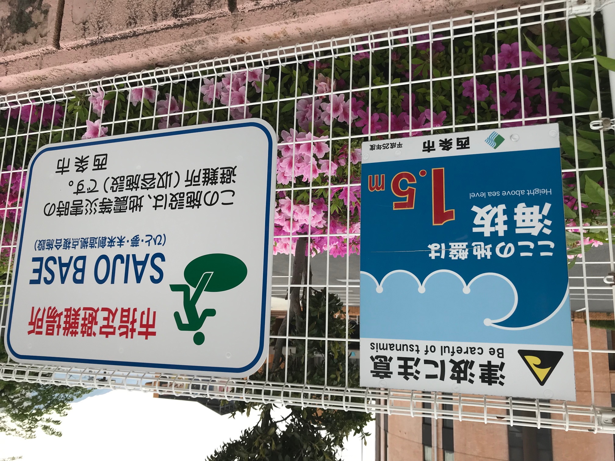 SAIJO　BASEに設置した海抜表示