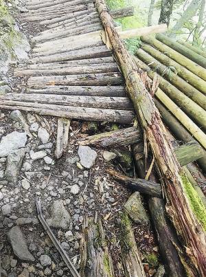 登山道2