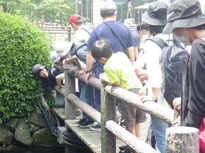 2.オチクサリゴケの観察
