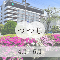 つつじ