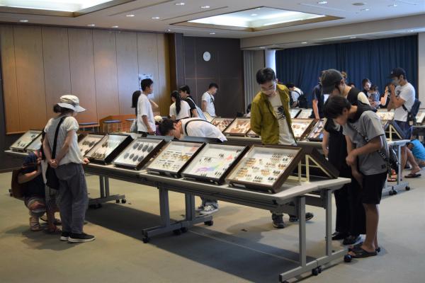 昆虫展の様子