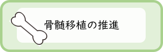 骨髄移植