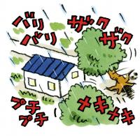 がけ