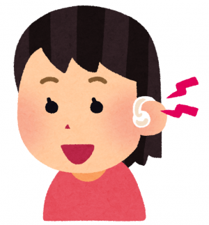 hochoki2