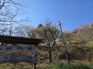 梅林園　梅
