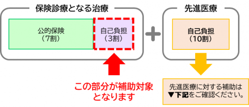 保険診療（図）