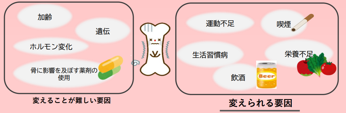 要因