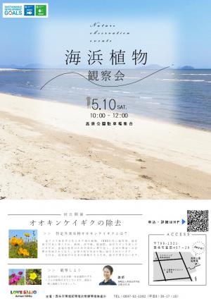 チラシ（海浜植物の観察とオオキンケイギクの除去）