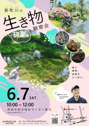 チラシ