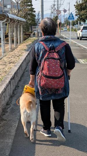 補助犬