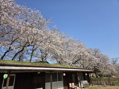 ひょうたん