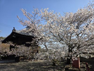 久妙寺