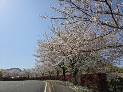 小松