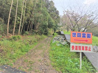 世田山