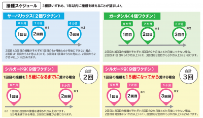 HPVワクチン接種スケジュール