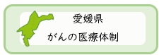 医療体制