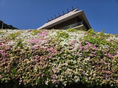 市民の森