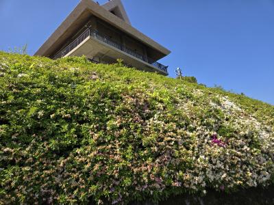 市民の森