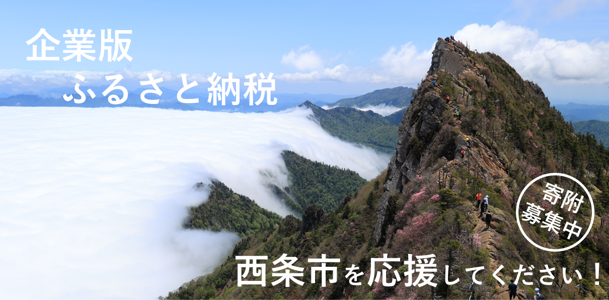 企業版ふるさと納税寄附募集中