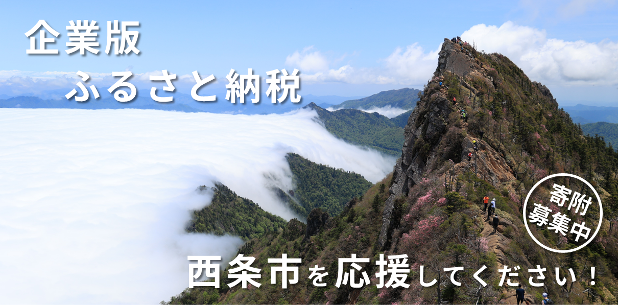 企業版ふるさと納税寄附募集中