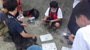 干潟調査写真⑦