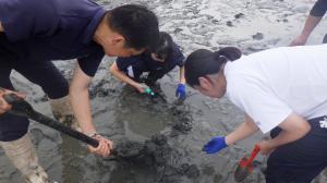 干潟調査写真④