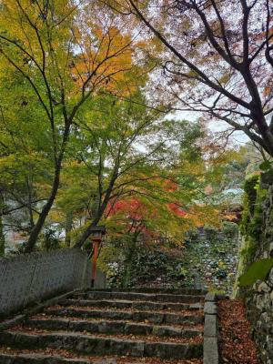 西山興隆寺紅葉