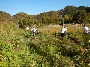アサヒビール下刈り活動　作業風景