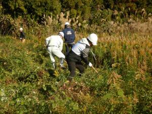 アサヒビール　下刈り風景