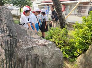 フィールドワーク 観察風景
