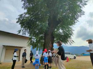 フィールドワーク 観察風景