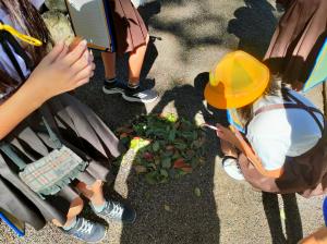フィールドワーク 観察風景