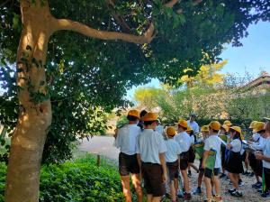 フィールドワーク 観察風景