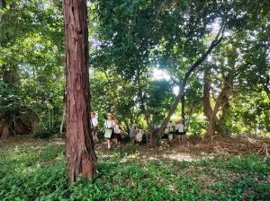 フィールドワーク 観察風景