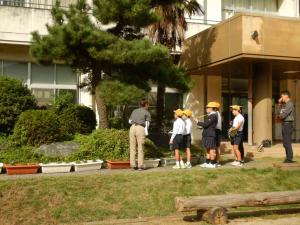 フィールドワーク 観察風景