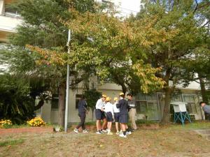 フィールドワーク 観察風景