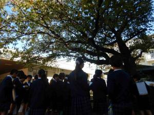 フィールドワーク 観察風景