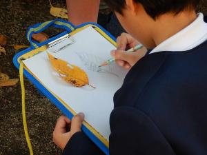 フィールドワーク 観察風景