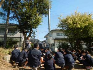 フィールドワーク 観察風景