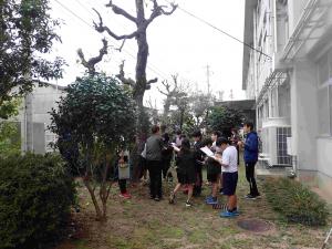 フィールドワーク 観察風景