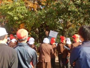 フィールドワーク 観察風景