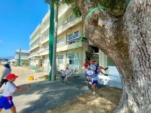 森林ふれあい体験 ブランコ