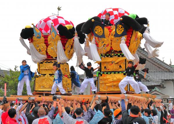 入選　「さし上げ、そろい踏み」　田坂　光司