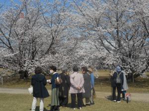 クラレ観桜会２